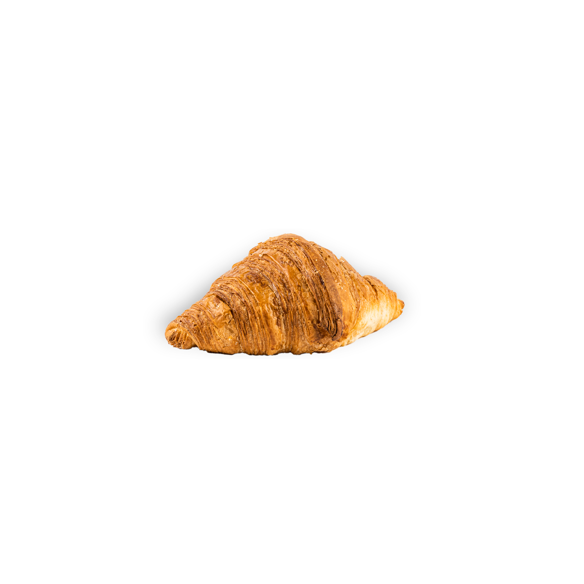 Plain Croissant