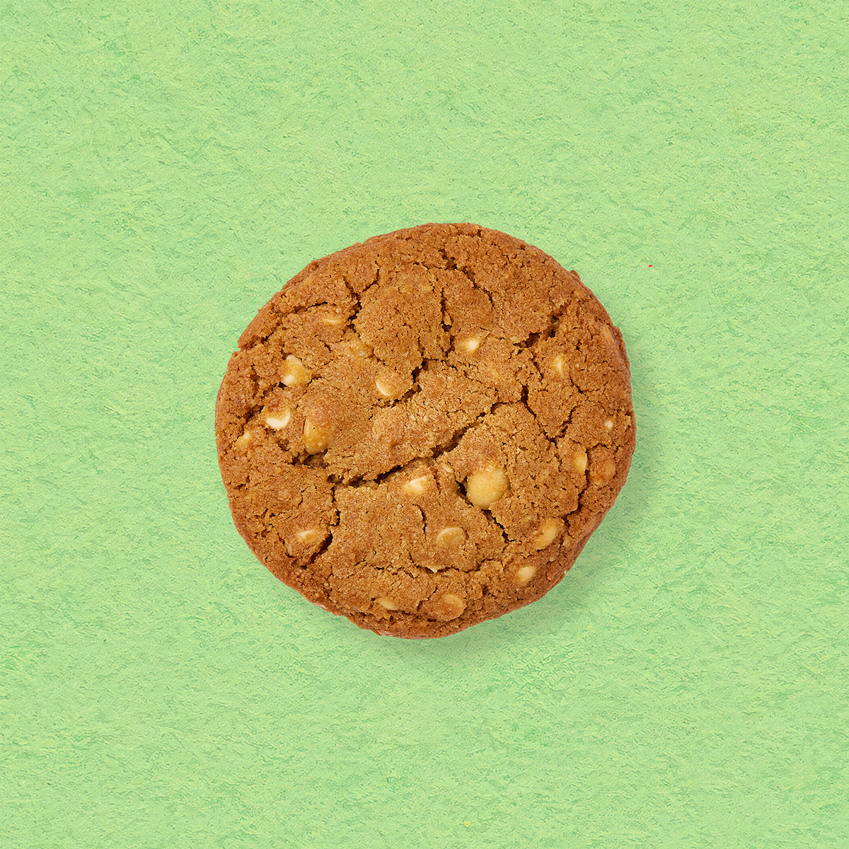 White Chocolate and Macadamia Biscuit