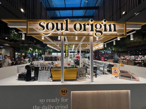 Settlement City port Macquarie